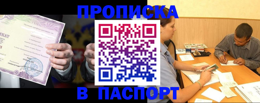 где прописаться в Сураже